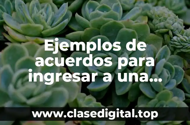 Ejemplos de acuerdos para ingresar a una sociedad