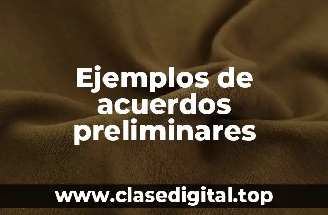 Ejemplos de acuerdos preliminares