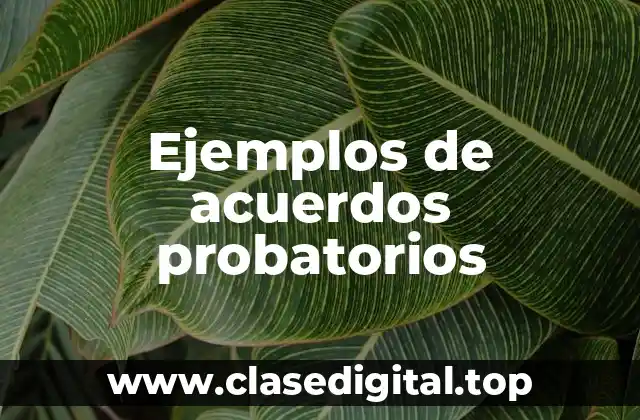 Ejemplos de acuerdos probatorios