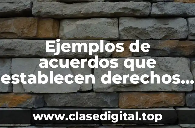 Ejemplos de acuerdos que establecen derechos y obligaciones y Significado