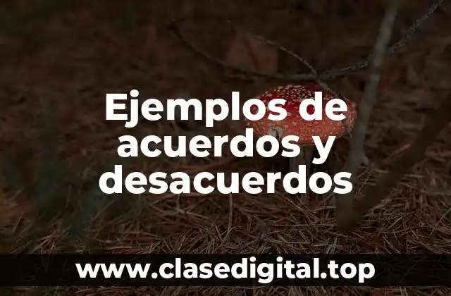 Ejemplos de acuerdos y desacuerdos