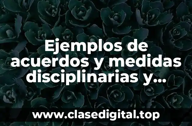 Ejemplos de acuerdos y medidas disciplinarias y Significado