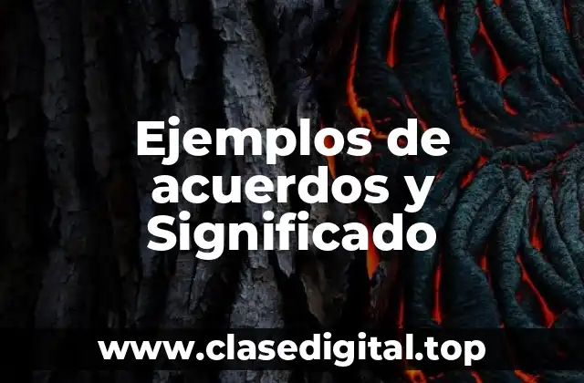 Ejemplos de acuerdos y Significado