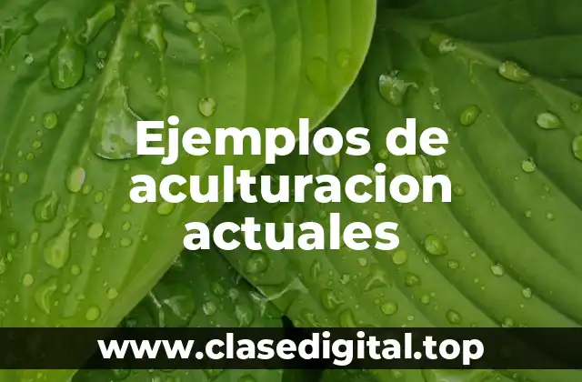 Ejemplos de aculturacion actuales