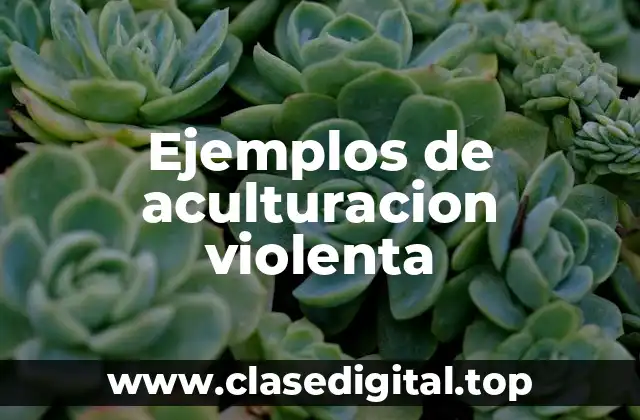 Ejemplos de aculturacion violenta