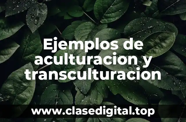 Ejemplos de aculturacion y transculturacion