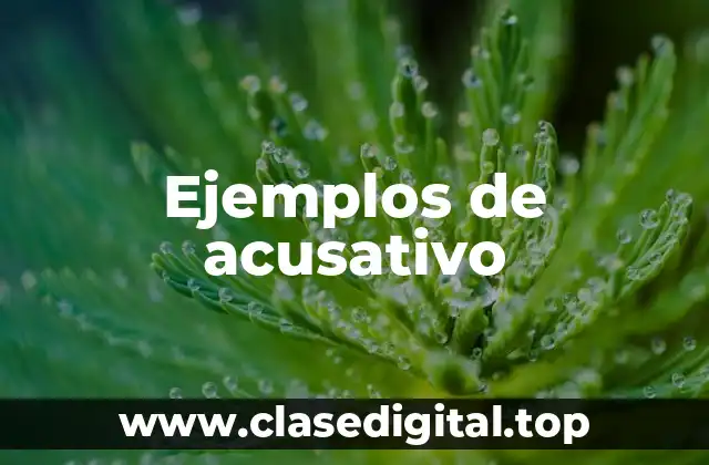 Ejemplos de acusativo