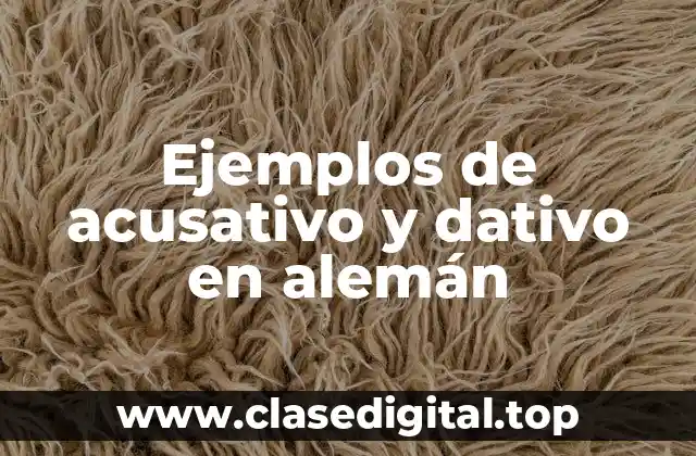 Ejemplos de acusativo y dativo en alemán