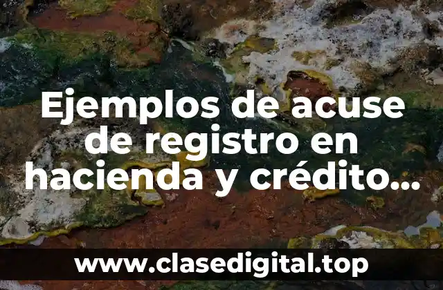 Ejemplos de acuse de registro en hacienda y crédito público