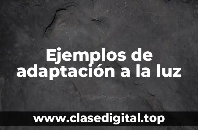 Ejemplos de adaptación a la luz