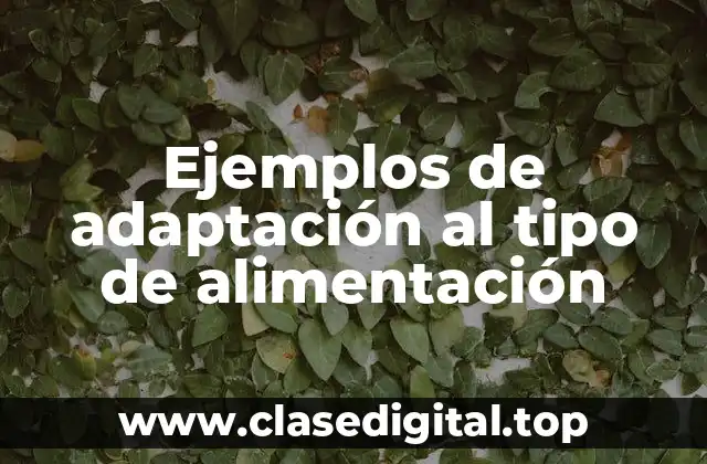 Ejemplos de adaptación al tipo de alimentación