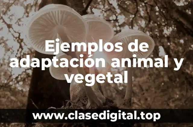 Ejemplos de adaptación animal y vegetal