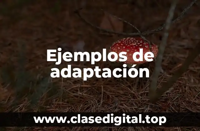 Ejemplos de adaptación
