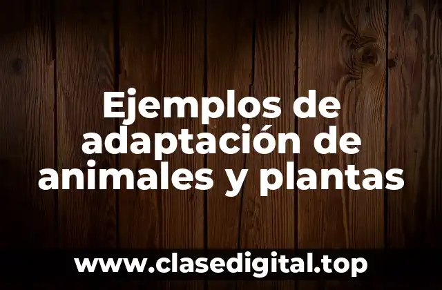 Ejemplos de adaptación de animales y plantas