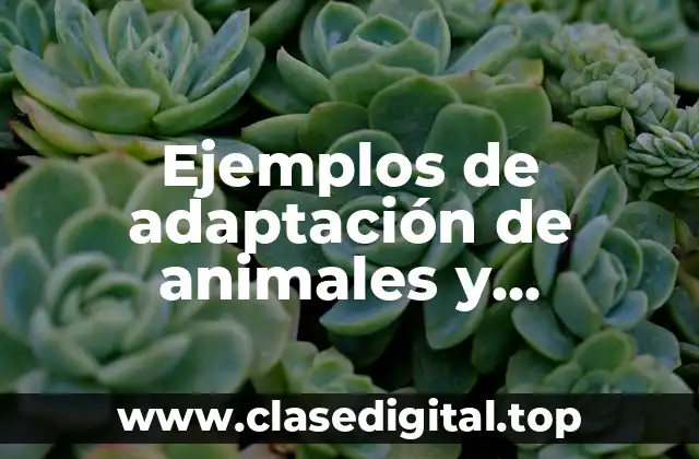 Ejemplos de adaptación de animales y Significado