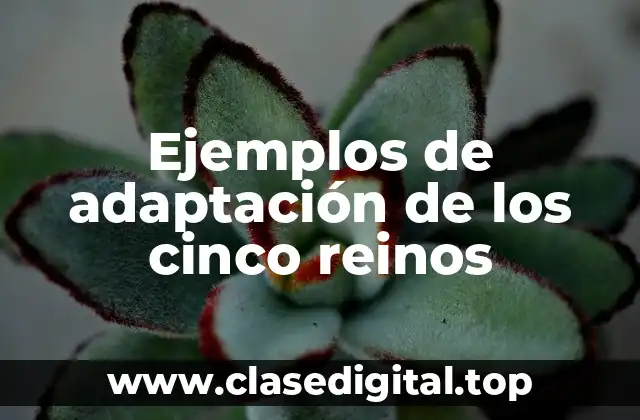 Ejemplos de adaptación de los cinco reinos