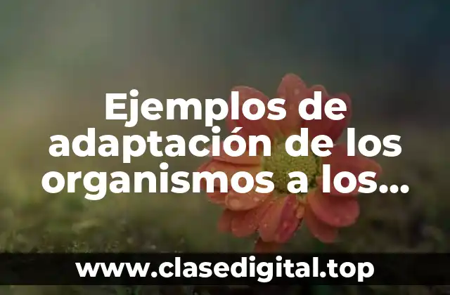 Ejemplos de adaptación de los organismos a los factores abioticos