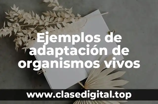 Ejemplos de adaptación de organismos vivos