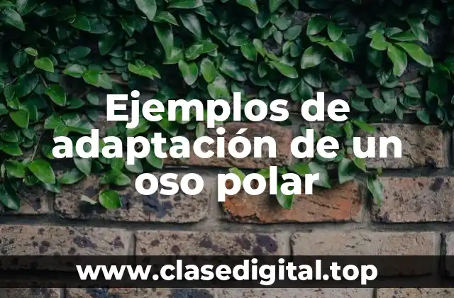Ejemplos de adaptación de un oso polar