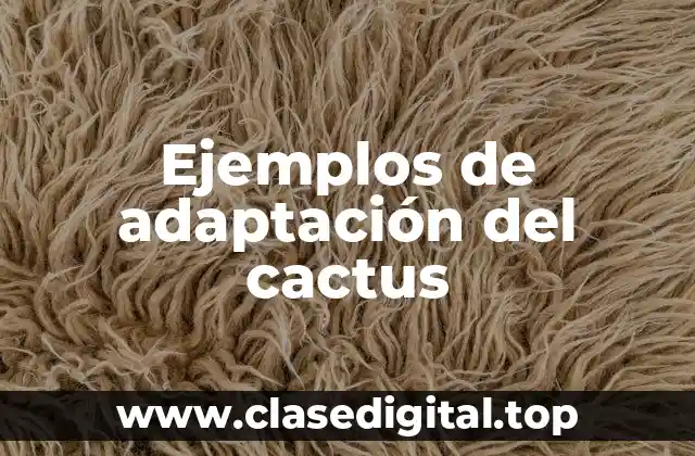 Ejemplos de adaptación del cactus