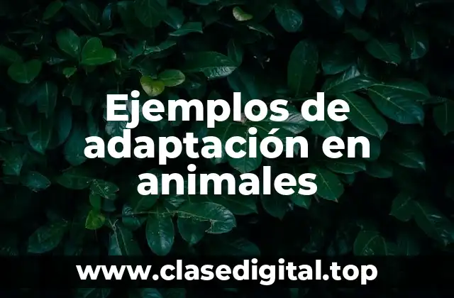 Ejemplos de adaptación en animales