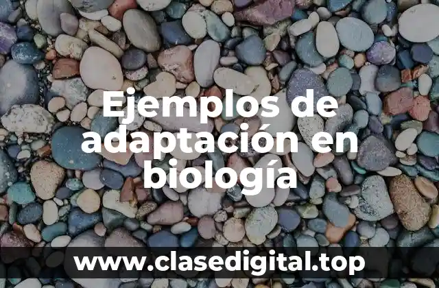 Ejemplos de adaptación en biología