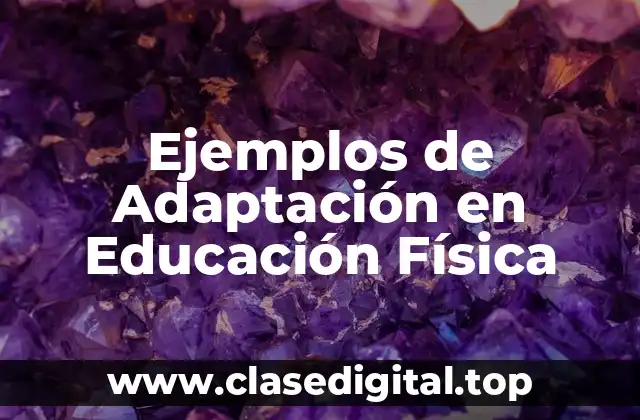 Ejemplos de Adaptación en Educación Física