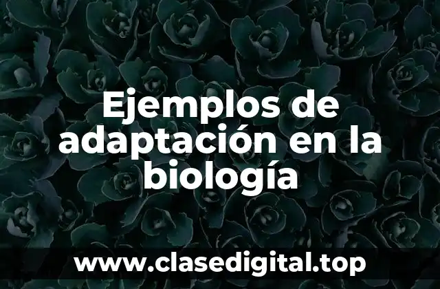 Ejemplos de adaptación en la biología