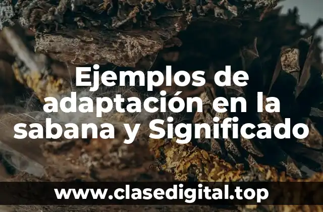 Ejemplos de adaptación en la sabana y Significado