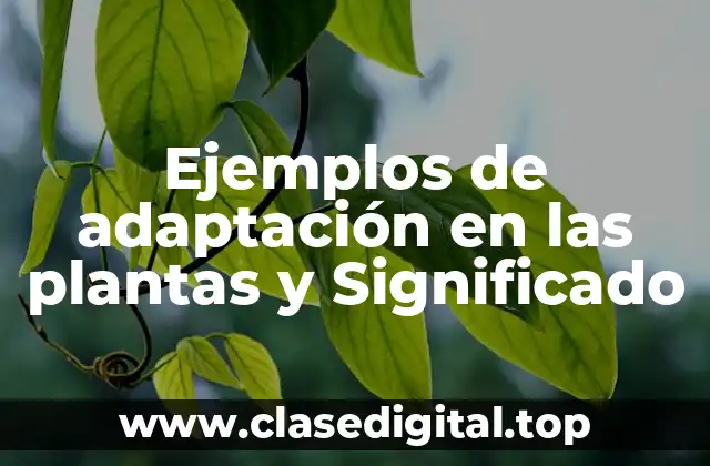 Ejemplos de adaptación en las plantas