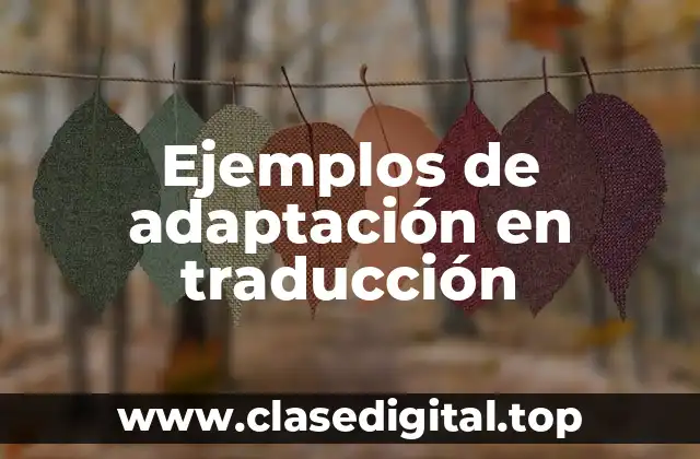 Ejemplos de adaptación en traducción