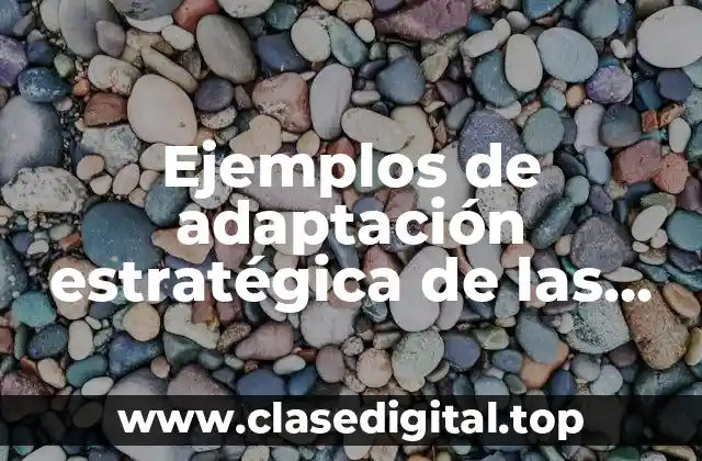 Ejemplos de adaptación estratégica de las empresas en otros países