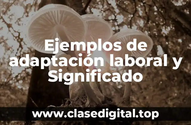 Ejemplos de adaptación laboral y Significado
