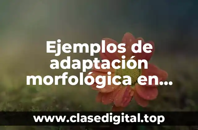 Ejemplos de adaptación morfológica en leopardos camuflaje