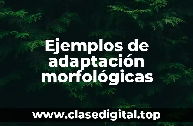 Ejemplos de adaptación morfológicas