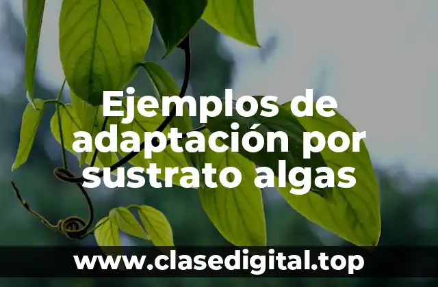 Ejemplos de adaptación por sustrato algas