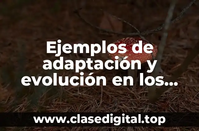 Ejemplos de adaptación y evolución en los seres vivos