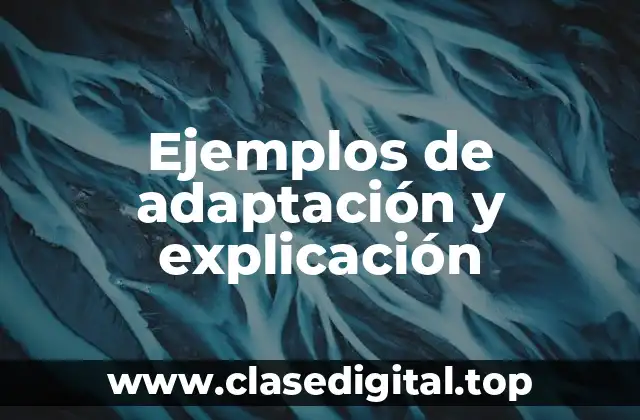 Ejemplos de adaptación y explicación