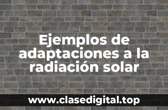 Ejemplos de adaptaciones a la radiación solar