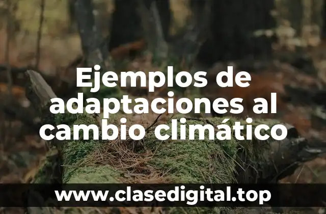 Ejemplos de adaptaciones al cambio climático
