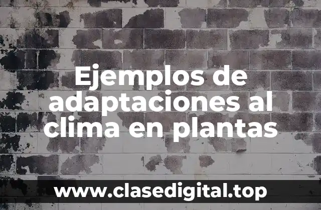 Ejemplos de adaptaciones al clima en plantas