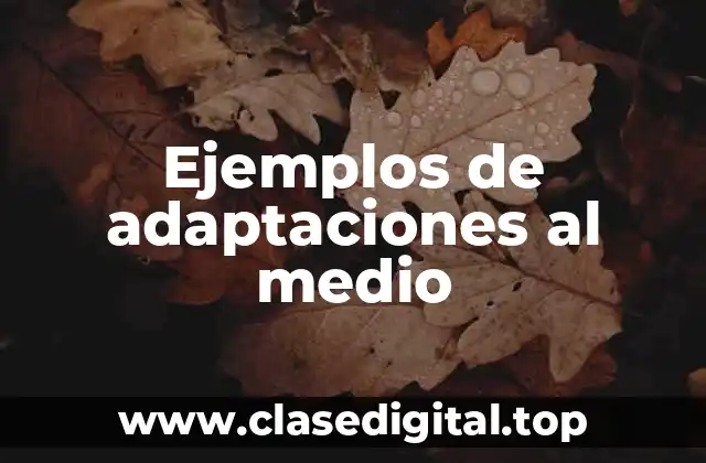 Ejemplos de adaptaciones al medio