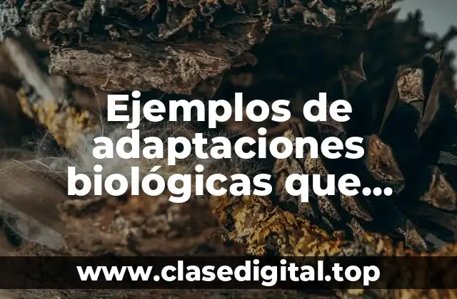 Ejemplos de adaptaciones biológicas que existen