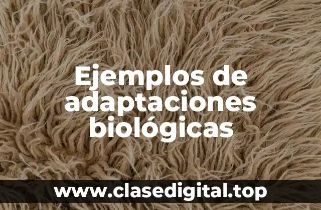 Ejemplos de adaptaciones biológicas