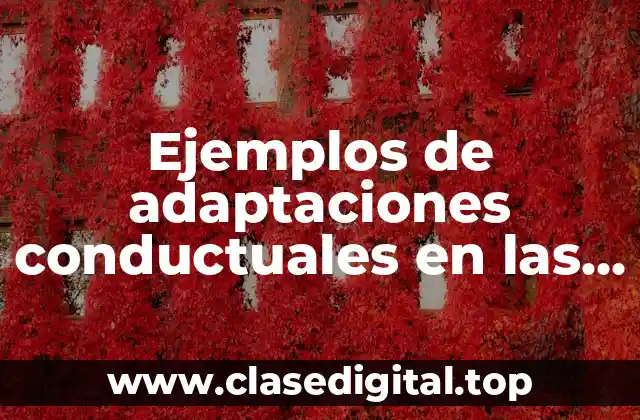 Ejemplos de adaptaciones conductuales en las aves