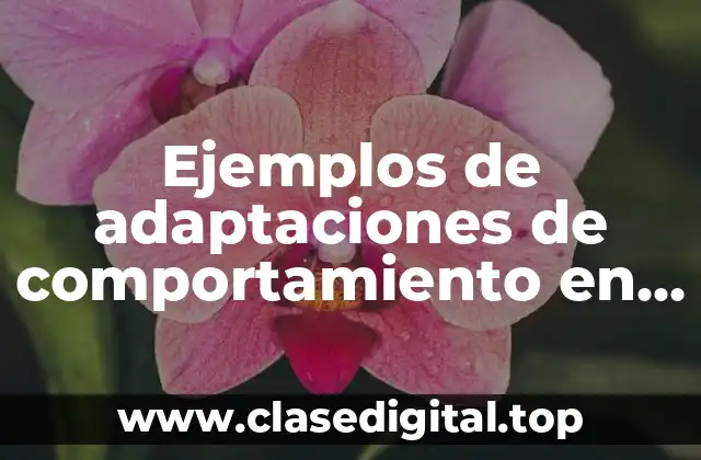 Ejemplos de adaptaciones de comportamiento en animales