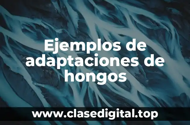 Ejemplos de adaptaciones de hongos