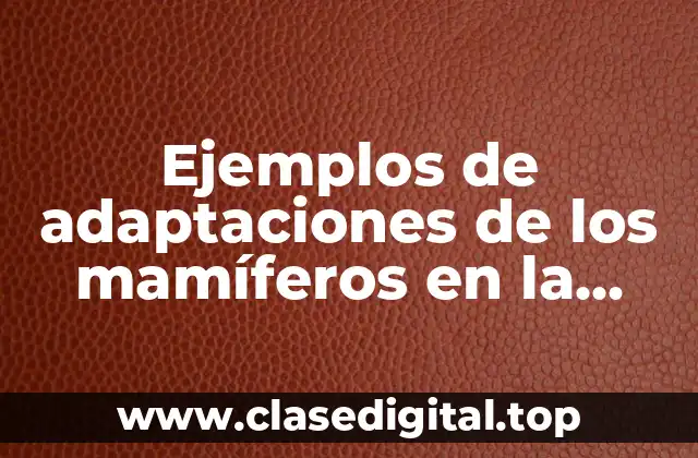 Ejemplos de adaptaciones de los mamíferos en la respiración