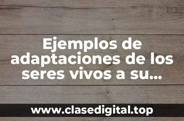 Ejemplos de adaptaciones de los seres vivos a su ambiente