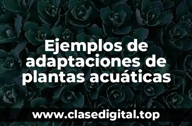 Ejemplos de adaptaciones de plantas acuáticas